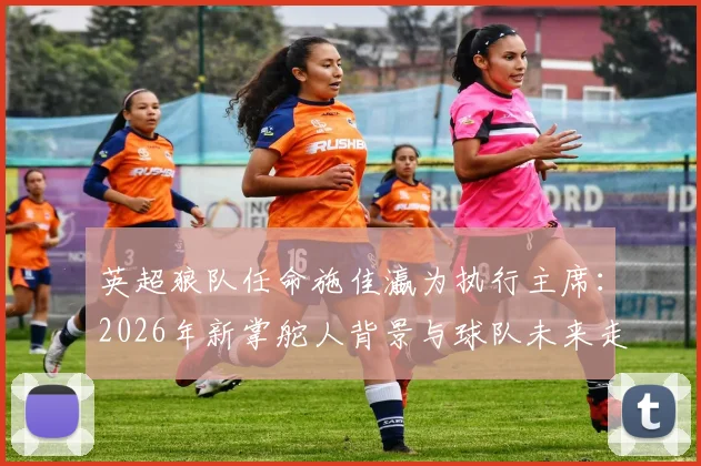 英超狼队任命施佳瀛为执行主席:2026年新掌舵人背景与球队未来走向分析