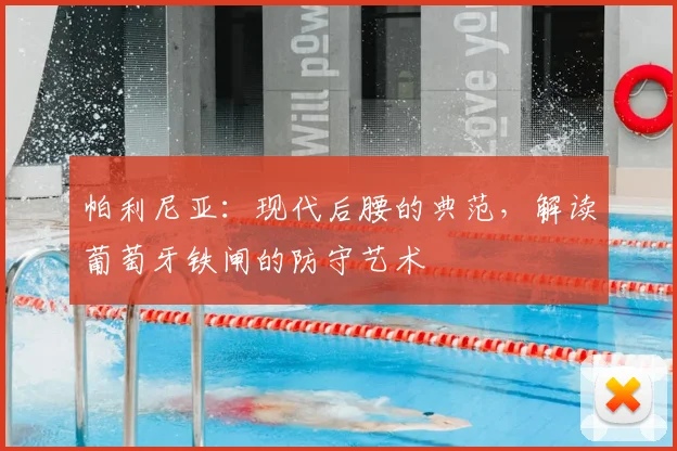 帕利尼亚：现代后腰的典范，解读葡萄牙铁闸的防守艺术