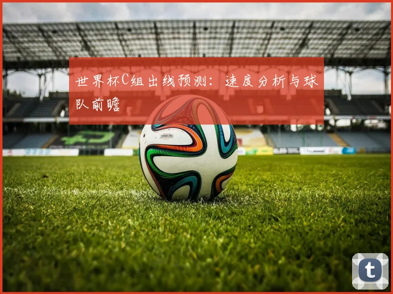 世界杯C组出线预测：速度分析与球队前瞻