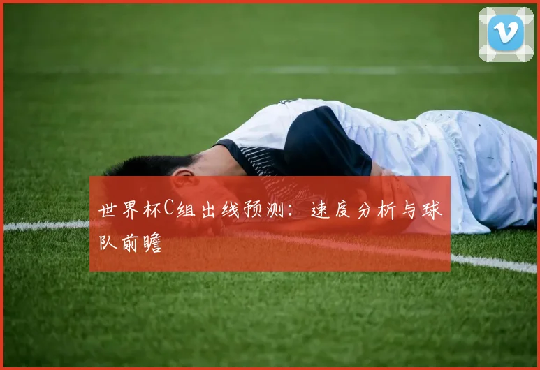 世界杯C组出线预测：速度分析与球队前瞻